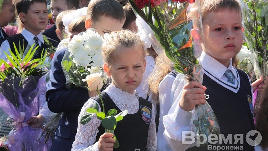 Главная картинка новости: Полторы тысячи воронежских многодетных семей получили деньги на школьную форму