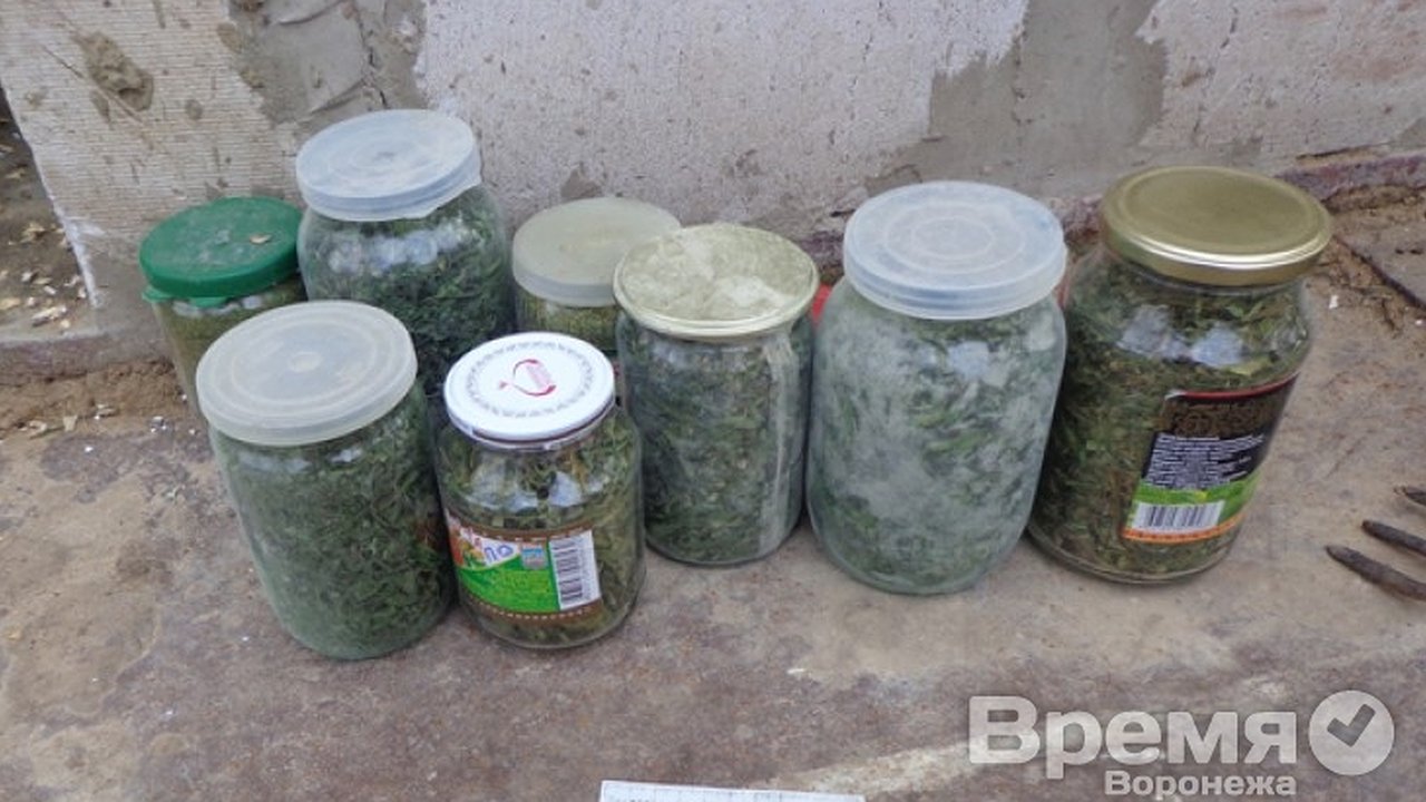 Главная картинка новости: Воронежец «законсервировал» марихуану в стеклянные банки