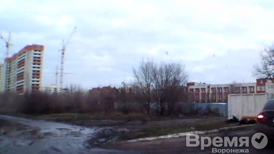 Главная картинка новости: Студенты воронежского журфака сняли ролик о том, в каком ужасном состоянии находится дорога, ведущая к корпусам университета