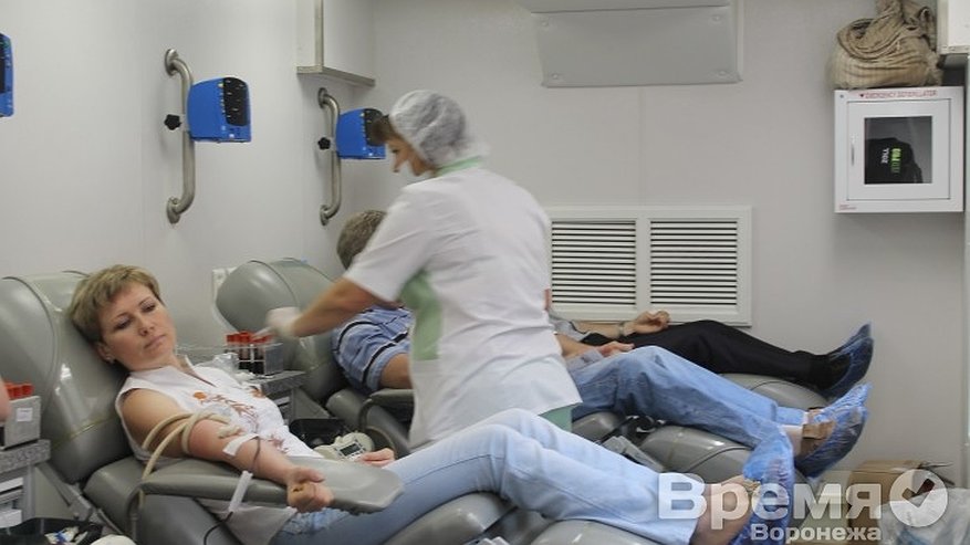 Главная картинка новости: В Воронежской области создадут единую базу доноров и «антидоноров»