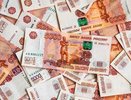 Сумма ущерба от экономических преступлений в Воронежской области составила 750 млн рублей