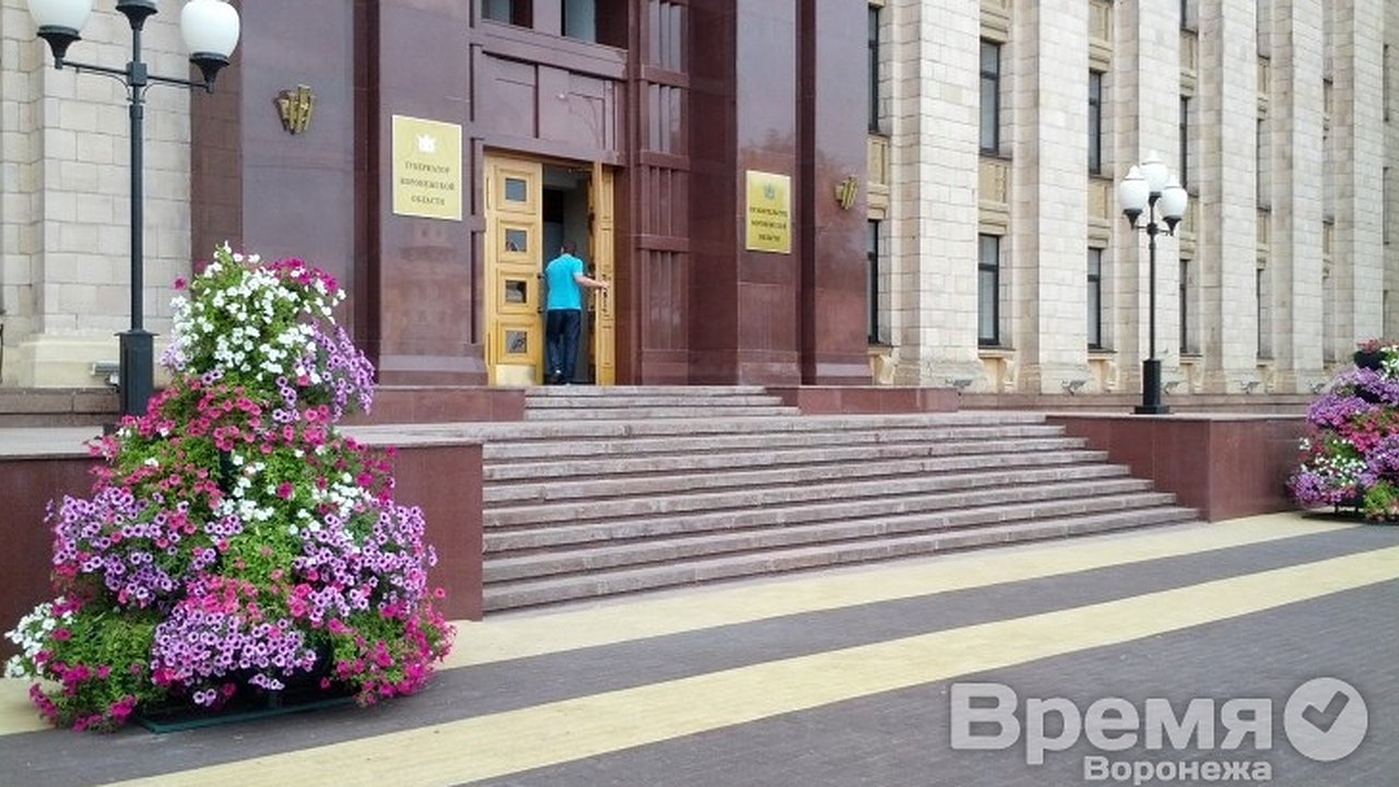 Главная картинка новости: Резюме на вакансию замгубернатора Воронежской области больше не принимают