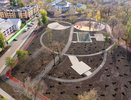 В благоустроенном воронежском парке «Мостозавода» высадили по десять лип, рябин и кленов 