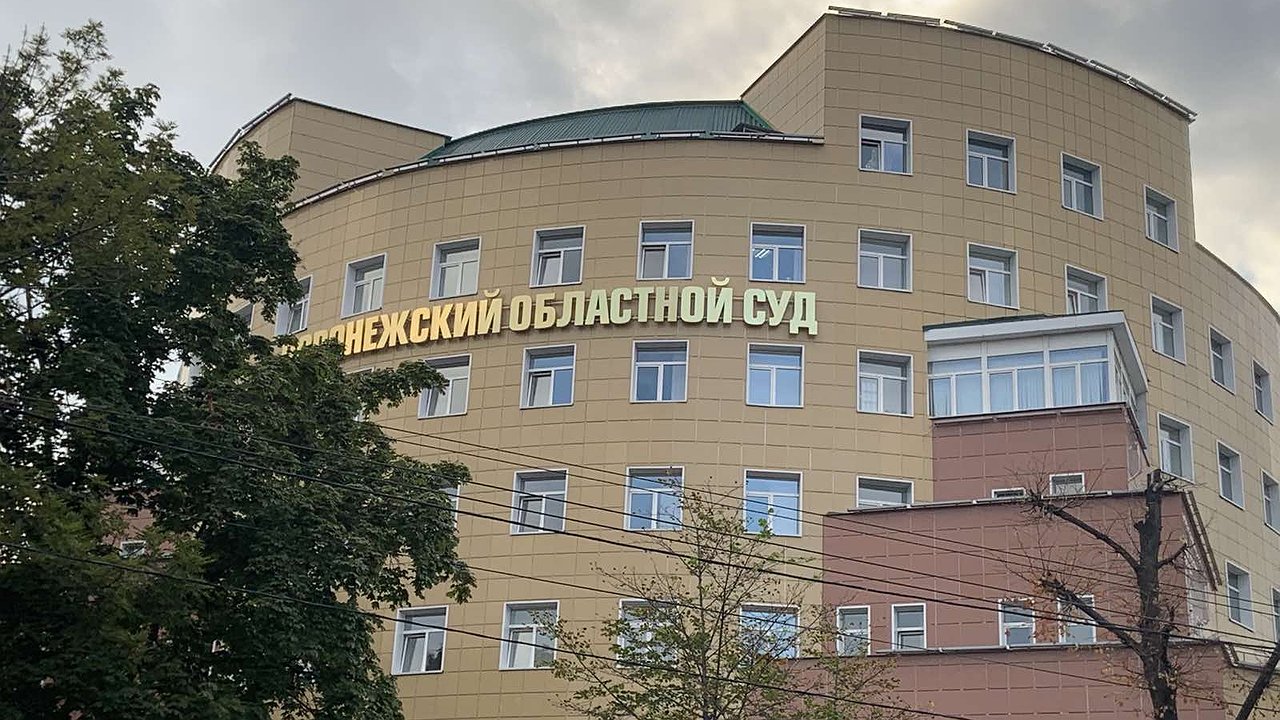 Главная картинка новости: Воронежские кандидаты-отказники призвали избиркомы к ответу в судах