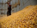 На тамбовском заводе растет производство и идет модернизация