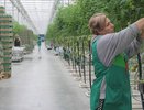Против тысяч санкций миллиарды господдержки: несмотря на сложности, воронежские аграрии крепко стоят на земле 