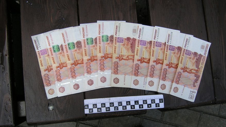 Главная картинка новости: Воронежские адвокаты утерли нос полицейскому следствию