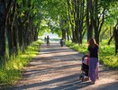 В Воронеже благоустроят сквер по улице Беговая