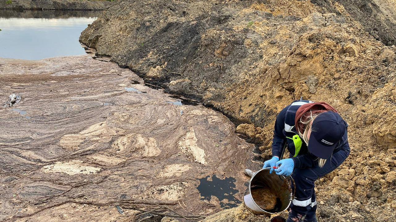 Главная картинка новости: Аммиачным смрадом в Воронежской области заинтересовался Росприроднадзор