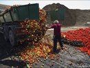 Уничтожайте апельсины бочками