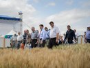Четверть всех воронежских инвестиций пришлась на аграрный сектор