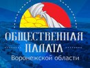 В Воронежской области создали казенное учреждение для общественников