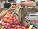 В Воронеже депутаты планируют отдать в частные руки «Северный рынок»