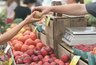 Миниатюра новости: В Воронеже депутаты планируют отдать в частные руки «Северный рынок»
