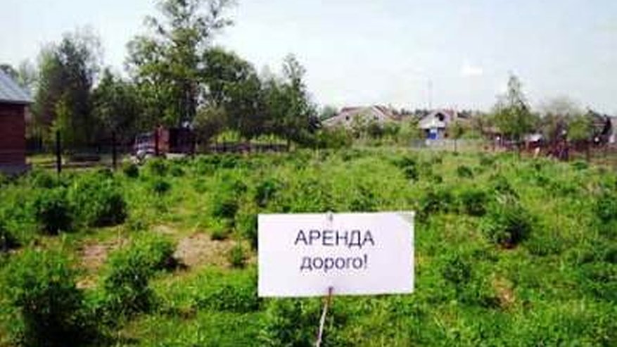 Главная картинка новости: У Воронежа не осталось за душой ничего стоящего