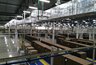 Миниатюра новости: Pulp Mill Holding открыла под Воронежем завод за 3,5 млрд рублей