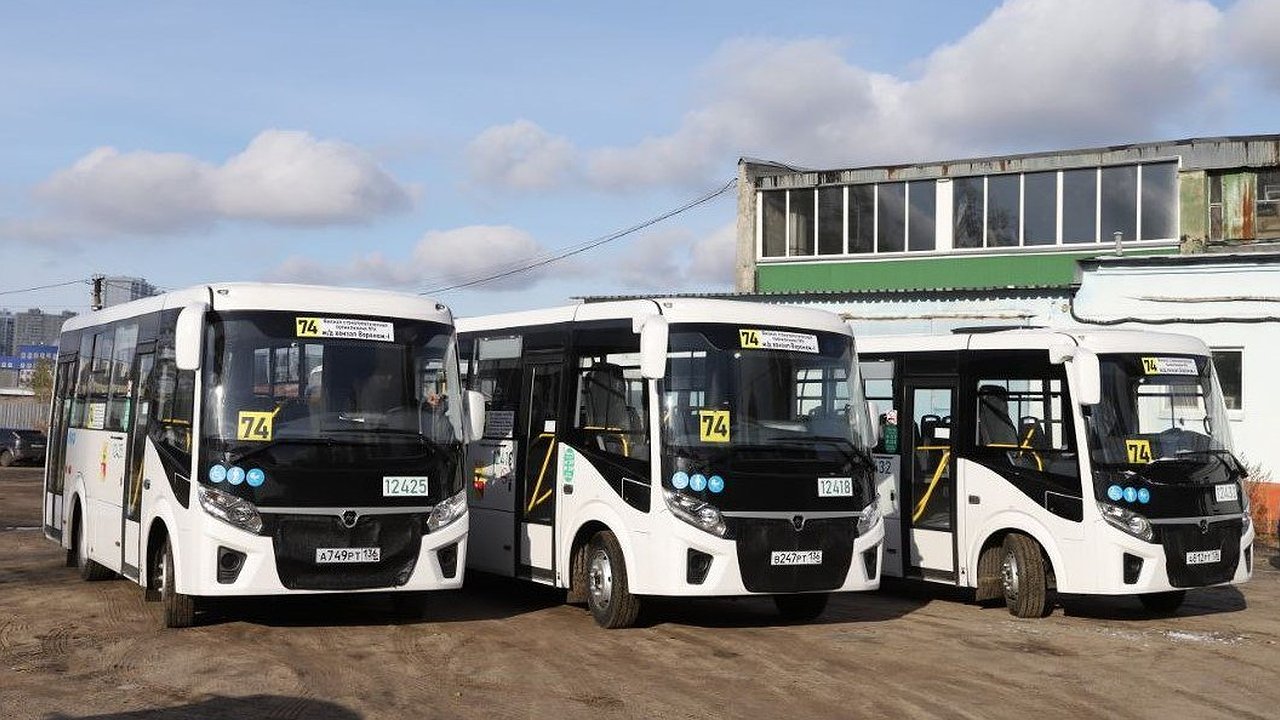 Главная картинка новости: На маршруте №74 в Воронеже начнут работать новые автобусы