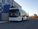 Воронежский перевозчик «Автолайн+» нарвался на штраф за нарушение закона