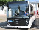 Сколько воронежцы готовы платить за хорошо работающий общественный транспорт? 