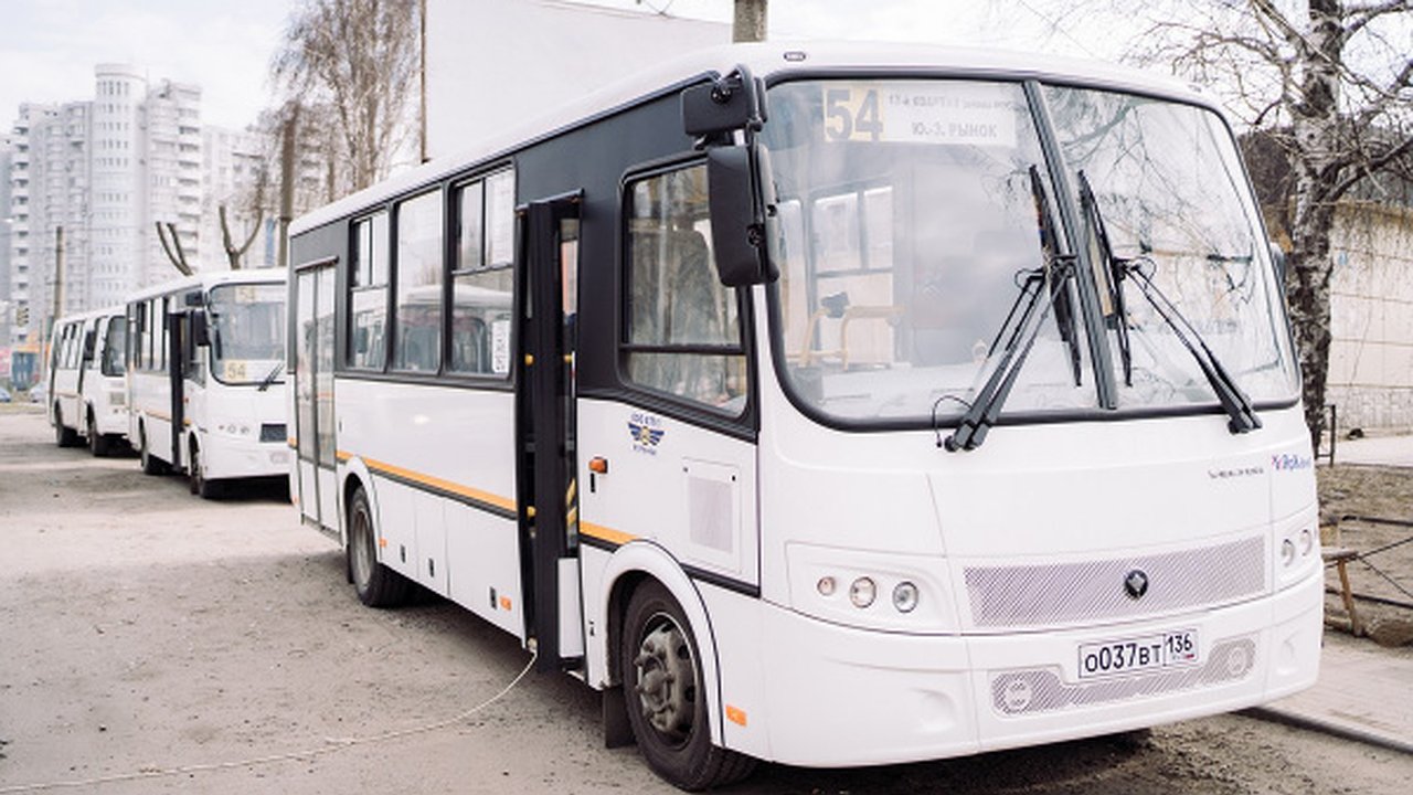 Главная картинка новости: Воронежский перевозчик назвал самые популярные у горожан маршруты