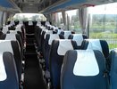 Воронежские власти потратят до 96 млн рублей на междугородние автобусы