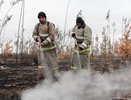 Воронежские спасатели за сутки локализовали пожары на 200 га 
