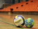 Власти направили почти 82 млн рублей на спорткомплекс под Воронежем 