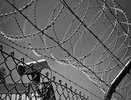Воронежец провел 12 суток под арестом за карикатуры со свастикой