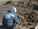 За большую кучу навоза воронежца оштрафовали на 10,5 млн рублей