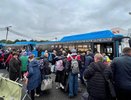 Воронежская область получит почти 160 млн рублей на поддержку вынужденных переселенцев