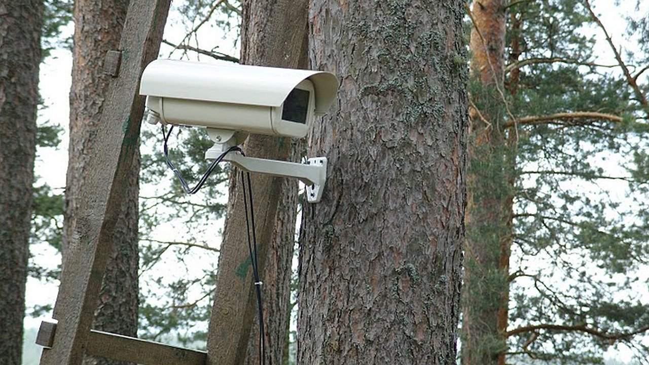 Главная картинка новости: Воронежский губернатор распорядился ввести круглосуточное видеонаблюдение в парках