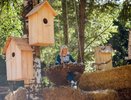 В Воронеже программу фестиваля «Город-сад» подготовит столичная фирма 