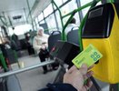 Кошмарный сон воронежского  маршруточника  пока не сбылся 