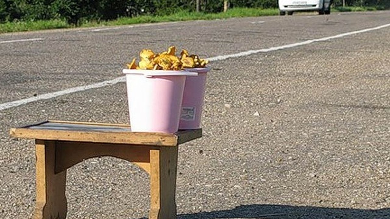 Главная картинка новости: Воронежский мэр о придорожной торговле: «Сумасшествие какое-то!»