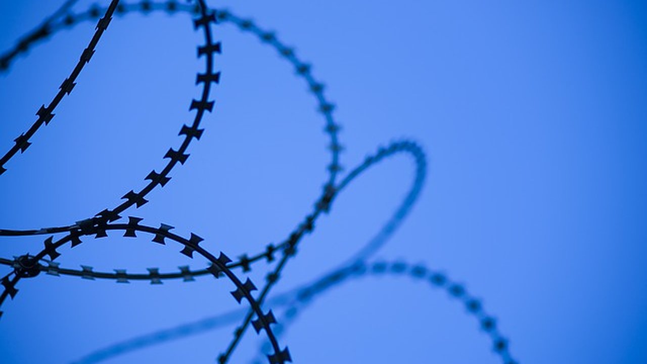 Главная картинка новости: Воронежский бизнесмен попал в колонию за кредит в 120 млн рублей