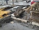 Воронежцы утопают в грязи в ожидании автобуса на остановке «Ботанический сад»
