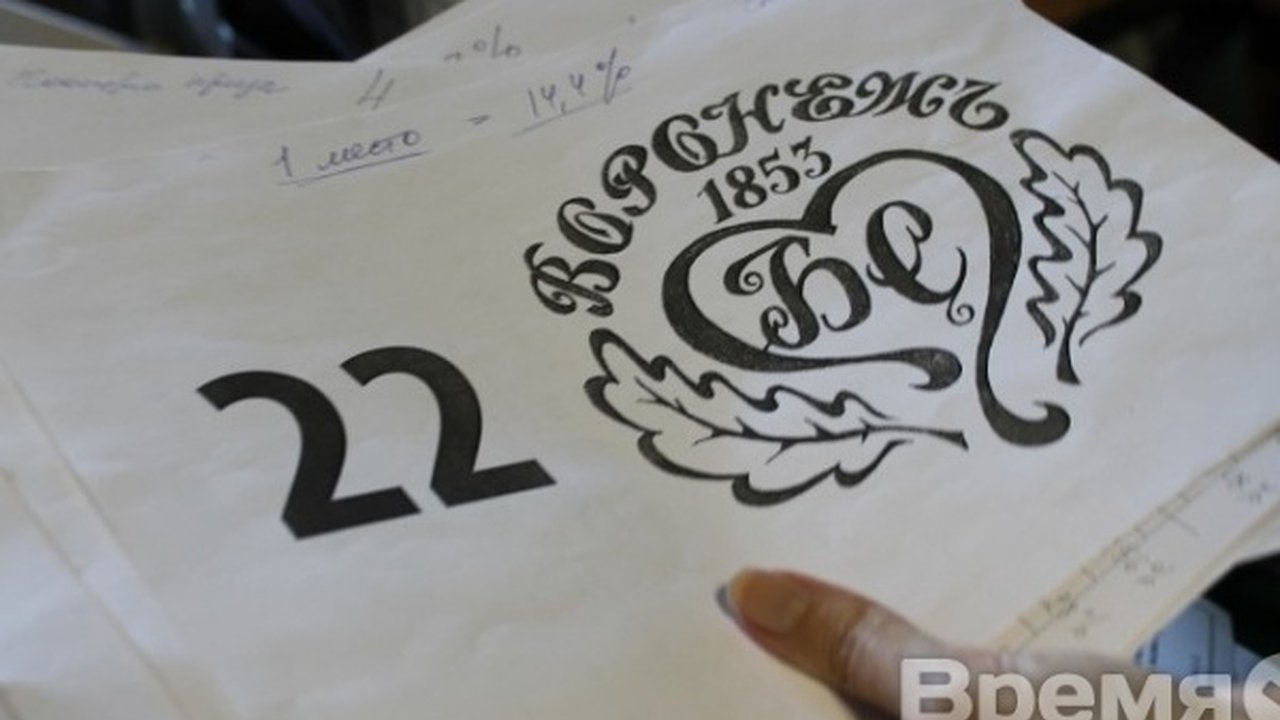 Главная картинка новости: Воронежские депутаты выберут концессионера для Бринкманского сада