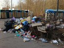 Жители Семилук массово жалуются на мусорные свалки у себя во дворах