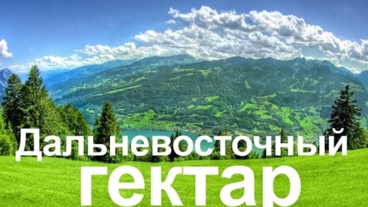 Главная картинка новости: Воронежцам нужны дальневосточные участки у океана 