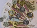 Более половины воронежцев смогут получать в месяц свыше 100 тыс. рублей только через 13,8 лет