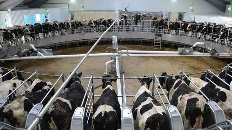 Главная картинка новости: Воронежскому аграрному сектору подкинули федеральных средств