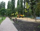 Глава города заострил особое внимание на теме озеленения и ухода за зелеными насаждениям