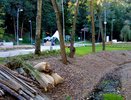 Возле воронежского Центрального парка появятся четыре парковки 