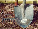 Начальник воронежской колонии вывозил заключенных на дачные хозработы