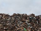 Немецкие специалисты скорректируют воронежскую схему по обращению с ТКО