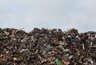 Миниатюра новости: Немецкие специалисты скорректируют воронежскую схему по обращению с ТКО