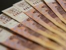 Владелец воронежской фирмы попался на краже 600 тыс. рублей при благоустройстве парка в районе области