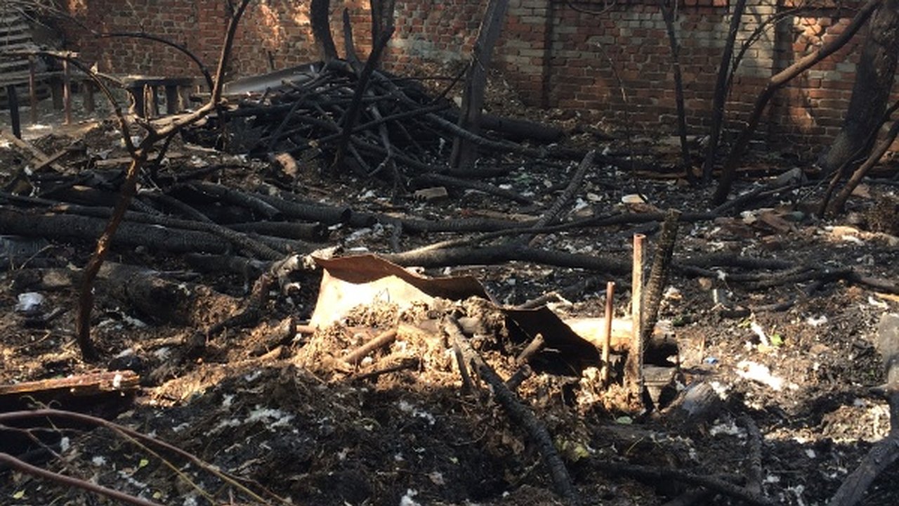 Главная картинка новости: Дом Гарденина едва не сгорел 