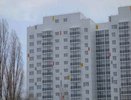 Охотнее сдавать свое жилье беженцам стали воронежцы