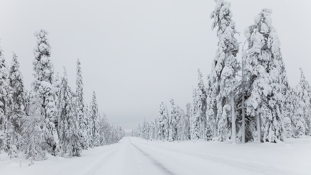 Главная картинка новости: УФАС остановило подписание контрактов на обслуживание воронежских дорог 